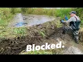 Download Lagu Beaver Dam Removal: Blocked Stream Uncovered