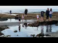 Carlsbad Tidepools