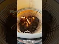tips for First time Kamado Grilling