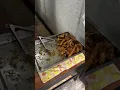 Mang Tootz Foodhouse - The House of Banana Rhuma