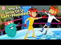 Download Lagu Why Are Some Of Us Left Handed? | Left Handedness | The Dr Binocs Show | Peekaboo Kidz