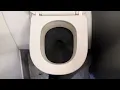 Delta Airlines A321 Flight 386 Toilet