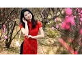 Download Lagu Beautiful Calming Japanese music for Stress | Traditional Japanese music Instrumental