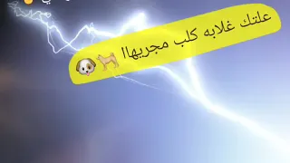مهرجان قد الدح متقولش اح حمو بيكاا دندنها