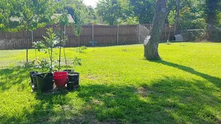 Lowes Low-Budget Sprinkler System