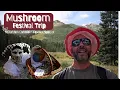 Download Lagu Mushroom Festival Trip to Telluride Colorado