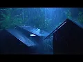 No Ads Rain Sounds for Sleeping - ASMR Timeless Rain on Tin Roof Soothes Anxiety and Drifts to Sleep