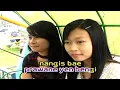 Download Lagu Rika Melia - Cucak Rowo (Video Karaoke HD)