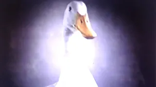Geico Direct Goose and Car Constellations Commercial 2000