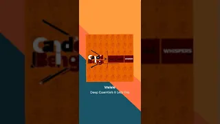 deep essentials u0026 lazy guy welele