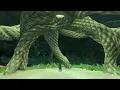 The Legend of Zelda Tears of the Kingdom - Hyrule Field Chasm Reach Activate Nihcayam Lightroot