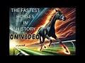 The Fastest Race Horses Ever Recorded