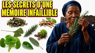 10 plantes qui boostent la MÉMOIRE et la concentration — la n°4 va vous surprendre !