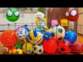 Download Lagu Best of Learn Colors \u0026 Sports Balls Names Compilation with Cute Dog Reactions 🐶🎳⚽🏀