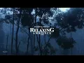 Gentle Rain Sounds & Thunder for Deep Sleep. Helps Insomnia, PTSD, Study, Meditation
