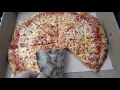 Brantford Ontario s MOST Garbage Pizza Zaza s Pizza
