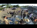 Download Lagu Pasir putih - cikijing ska paradise (cover)