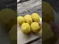 Download Lagu https://youtube.com/shorts/AUlCKuQp6XA?si=Uq71-kdhI49_plgY