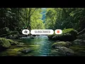 Daintree Rainforest River Australia | 10 Hours ASMR Ambience with Birds for Sleep & Relaxation