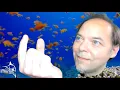 Marlin Live May 9 2019 Github PRs Workflow