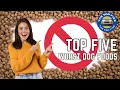 Top 5 Worst Dog Foods to Avoid 4K