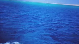 مهرجان عصام صاصا الجديد  انتى فاكره نفسك ايه      دندنها