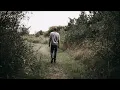 Hazlett - I'm Not Ready To Go