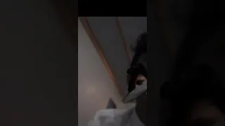 محمد ال دحام سعود الصليلي صحيح انا تفارقنا ولاكن بالزمن باقين 