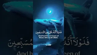 فلولا انه كان من المسبحين الشيخ محمد صديق المنشاوي حالات واتس اب دينية قصيرة قران كريم 