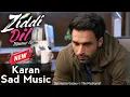 Lagu Karan Shergill Theme Song | Ziddi Dil Maane Na - Theme Song