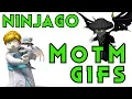 Ninjago Master of the Mountain Gif Collection