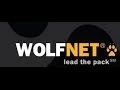 WolfNet WordPress Plugin Adding The Advanced Property Search