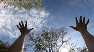 I Went Outside