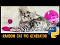Get random cat images using python
