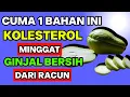 Lagu Wajib Coba! Labu Siam Bikin Ginjal Bersih Total Tanpa Efek Samping, Kolesterol Turun drastis!