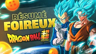 Résumé Foireux : Dragon Ball Super {PARODIE}