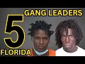 Gang Leaders of FLORIDA True Crime Stories