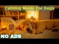 Download Lagu 12 HOURS of Relaxing Music For Dogs💖Anti Separation Anxiety Relief🐶Pet music🎵 Deep Sleep