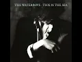 This Is the Sea (2004 Remaster)