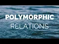 Eloquent Polymorphic Relations Properly Explained