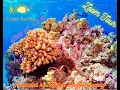 Boston Reefers Society Presents Crazy Corals Tour