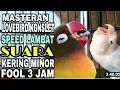 Download Lagu Masteran Lovebird Konslet Speed Lambat Nada Kering Minor