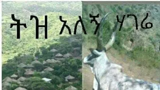 ምርጥ የትዝታ ሙዚቃ እሲ ትዝታ ያለበት ላይክ እፍፍፍፍፍ እኮየ ነሽ የበረሀ ሎሚ ያገሬ ልጅ በይ ደህና ክረሚ 