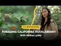 Beginner s Guide to Foraging California Huckleberry with Melina Lydia