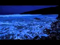 Relax And Fall Into A Deep Sleep With The Calming Sound Of Ocean Waves