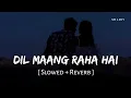Download Lagu Dil Maang Raha Hai Mohlat (Slowed + Reverb) | Yasser Desai | Ghost | SR Lofi