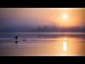 Jon Hopkins — Abandon Window [Original Mix]