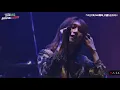 コイスルオトメ　SURER BEAVER