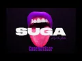 Megan Thee Stallion - B.I.T.C.H. (ChopNotSlop Remix) [Official Audio]