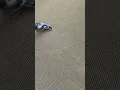 Commercial carpet cleaning in Opelika Alabama